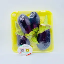 Eggplant